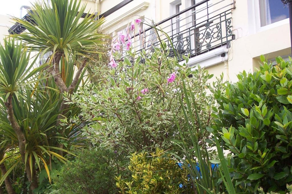 Bed and Breakfast Ashwood Grange Torquay Exterior foto